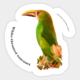 White-throated toucanet tropical bird on top of a tree pin black text Sticker